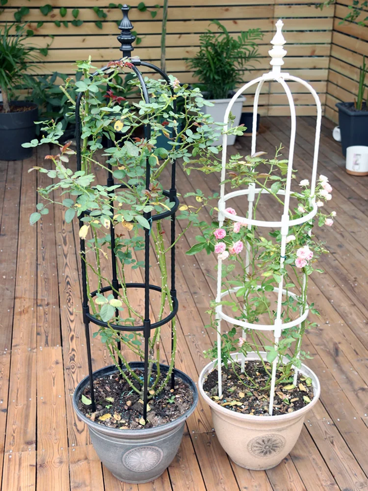 Traliccio Per Piante Rampicanti Da Interno 37cm, Supporto In Metallo Per Vasi, Antiruggine, Set 4 Pezzi Nero - Ideale Per Hoya, Pothos