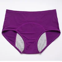 Slip physiologique pour femmes, 2 pièces, culotte menstruelle pour filles, anti-fuite, taille moyenne, sous-vêtements en soie glacée 6