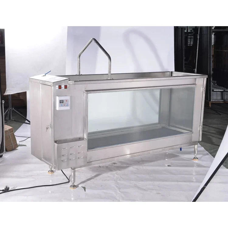 Electric Dog Underwater Treadmill Pet Water Treadmill Animal Training Underwater Pet Sports Exercise Machine For