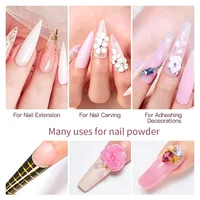 18 Colors Professional Nail Acrylic Powder Net-1OZ Pure Color Carved/Extension Crystal Powder With Glitter Shiny Builder Powder 2