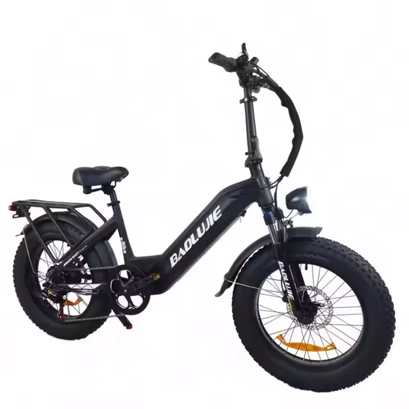 Off-road Snow Mountain Electric Bicycle 750W 12AH 20-inch aluminum alloy frame 35 km/h Baolujie BLJ-DP2003