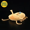Trilobite High Fidelity Anime Redlichia Plushie Redlichiida Plush Toys Lifelike Ancient Animals Simulation Stuffed Doll Toy Gift 5