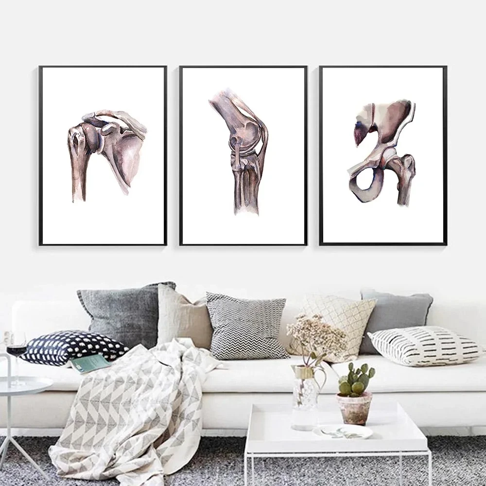 

Human Organ Anatomy Wall Art Canvas Print, Watercolor, Shoulder, Hip, Knee Painting, Vertequin Column Poster, Medical Art Gift D