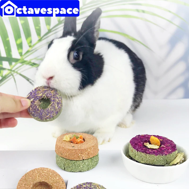 Guinea Pigs Eat Rabbit Food Guinea Pig Food Vegetables Small World Rabbit Food 1pc