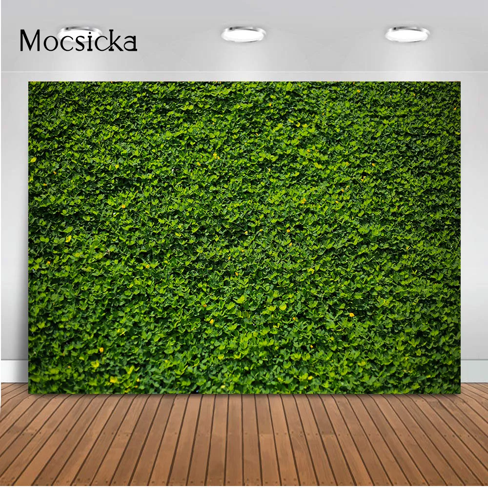 Mocsicka ܵ     ȥ ź       Ŀ Ʃ