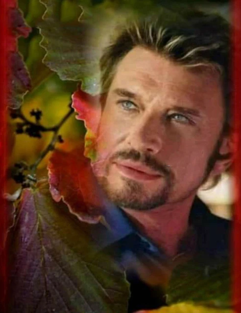 Peinture Diamant 5D Johnny Hallyday – Kit Complet Broderie Diamant Rock Français 30x40 Cm