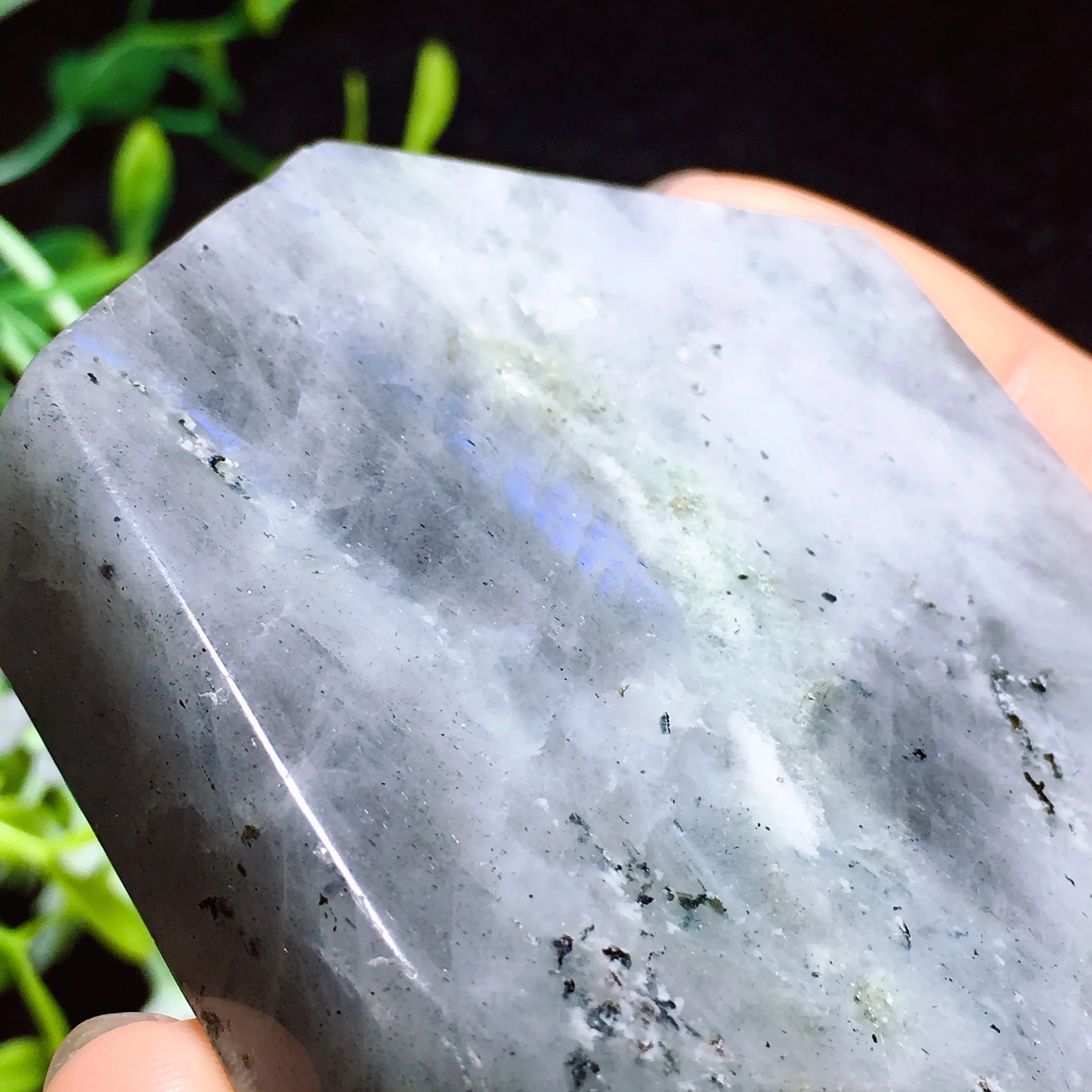 Labradorite Freedom 2430