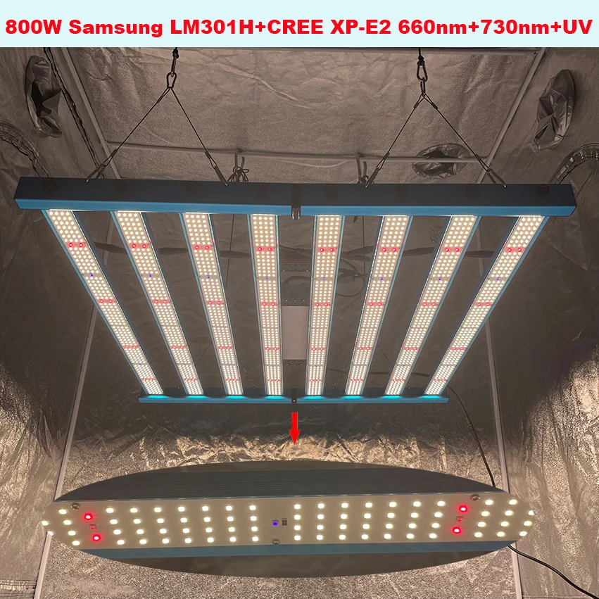 2023 800w Samsung LM301H V5 Quantum LED Grow light Bar UV IR Led Grow