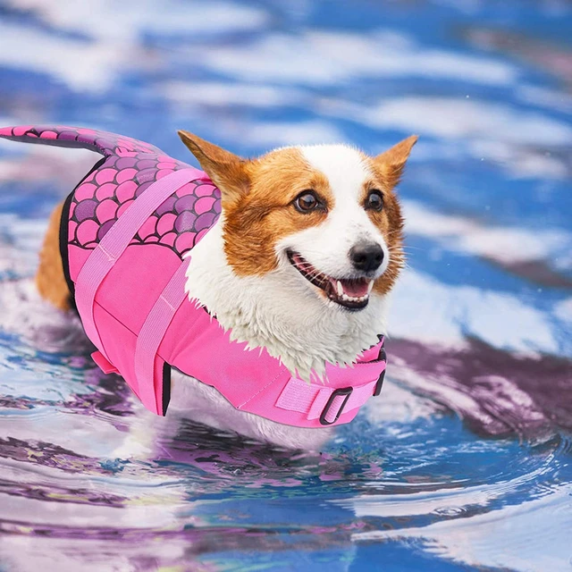 Gilet de natation pour animaux de compagnie, vêtements d'été pour chiens,  bouledogue, sirène, requin, maillot