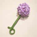 Hydrangea