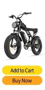 RIDSTAR Q20 EBIKE