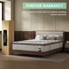 Full Mattress 12 Inch, 5-Zone Deep Sleep Firm with Extra Lumbar & Shoulder Support, Mattresses 3
