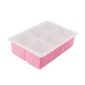 6-Cavity Pink