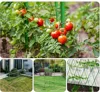Climbing Vine Stand Outdoor Gardening Climbing Vine Flower Stand Wear resistant Plant Vegetable Support Pole Bracket 5