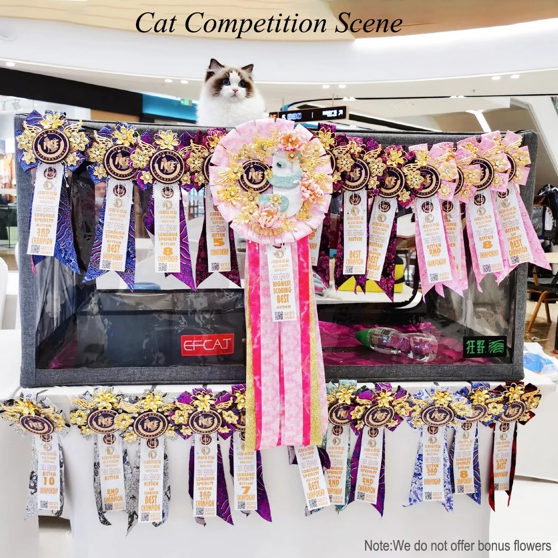Cat Show Cage Competition Transparent 3D Display Shelter with Cat Hammock Folding Litter Box for Exhibition cat cage