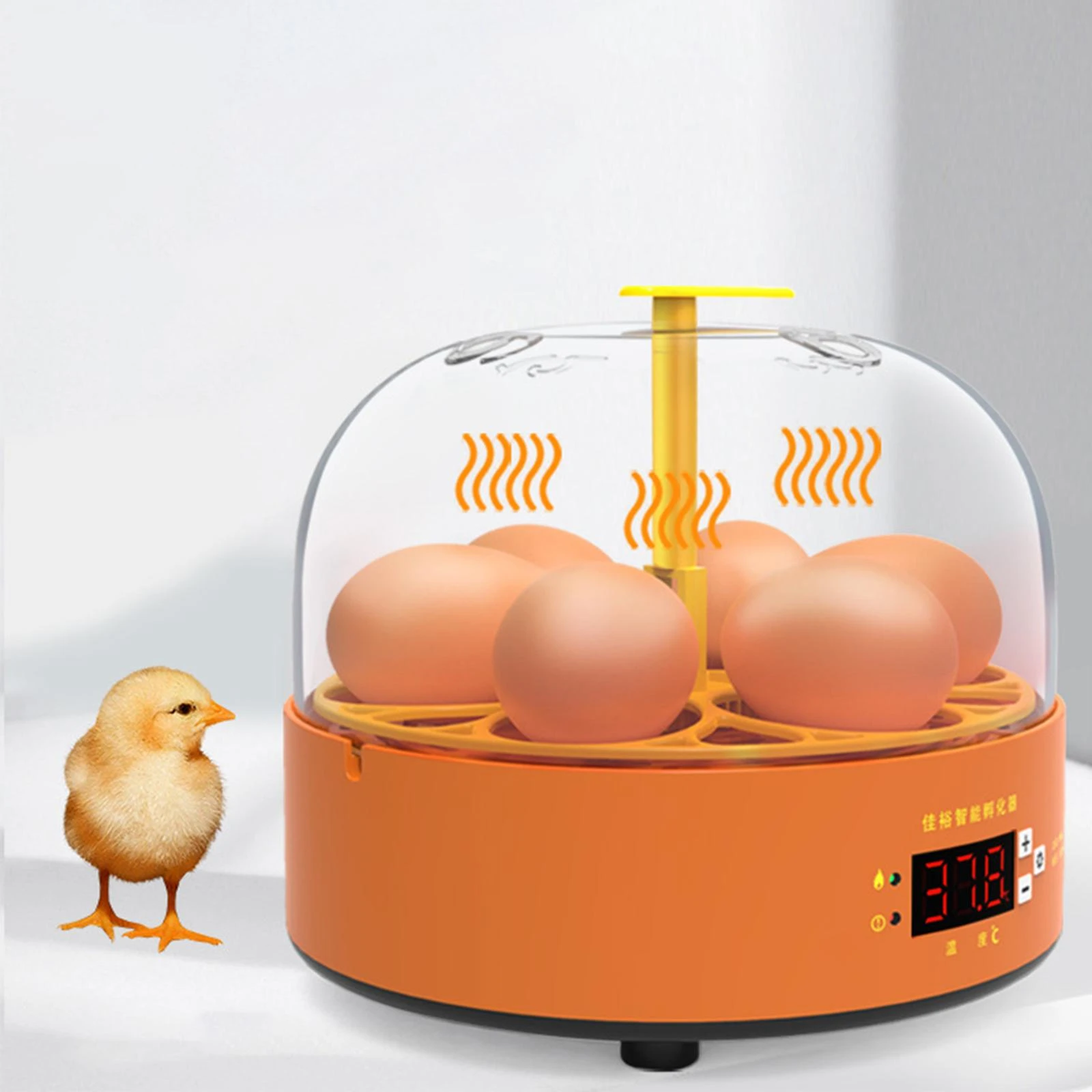 Dictatuur Raffinaderij Democratie Eieren Incubator Automatische Draaien Temperatuur Controller Broedmachine  Uitbroeden Machine Voor Vogels Broedeieren Kwartel Gevogelte Hatcher| | -  AliExpress