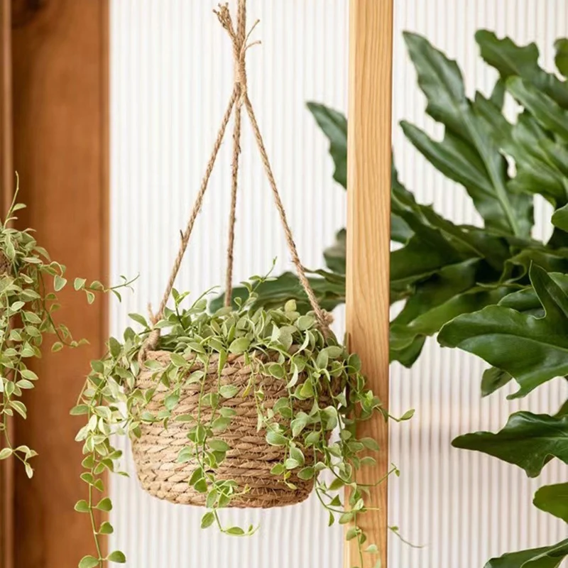 Slide image eec1190aa274427aa25d628e7beca74e