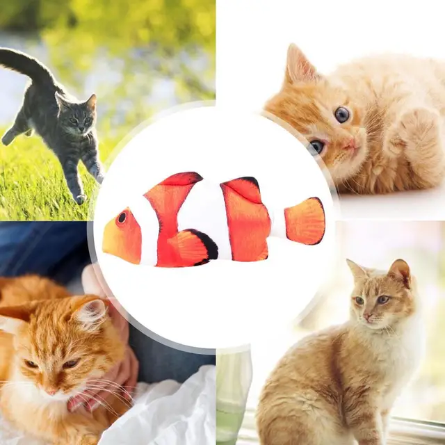 Haustier Katze weiches Plüsch tier 3D-Simulation tanzen Wackeln Fisch  interaktive Übung beißen Spielzeug begünstigt Kätzchen Zubehör Haustier  liefert - AliExpress