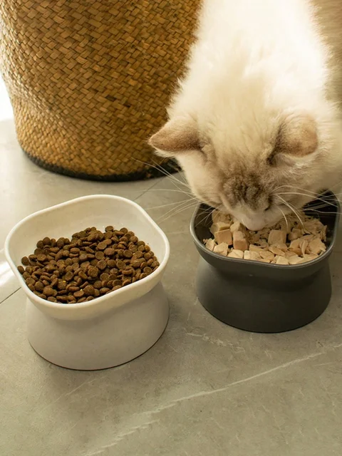 1Pc Pet bowl, water and food feeder, for cat and small dog 4