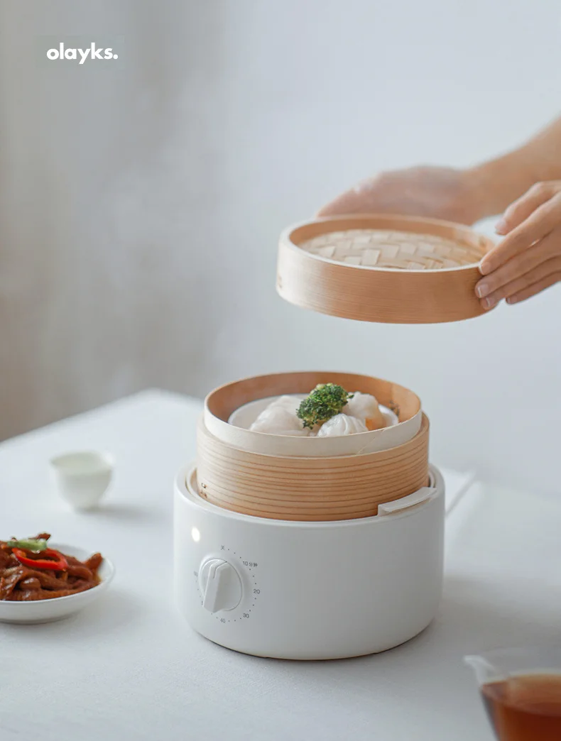Description Picture 5 of itemOlayks Bread Steamer Cooker Rice Roll Steamer Multifunctional Cecotec Electric Food Kingdom Kitchen Buffet Food Warmer Steam Pot