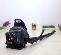 EB650 Air Blower Leaf Blower Two Stroke Ordinary Type Snow Blower Garden Power Tools 63.3cc Portable  Gasoline Leaf Vacuum 1