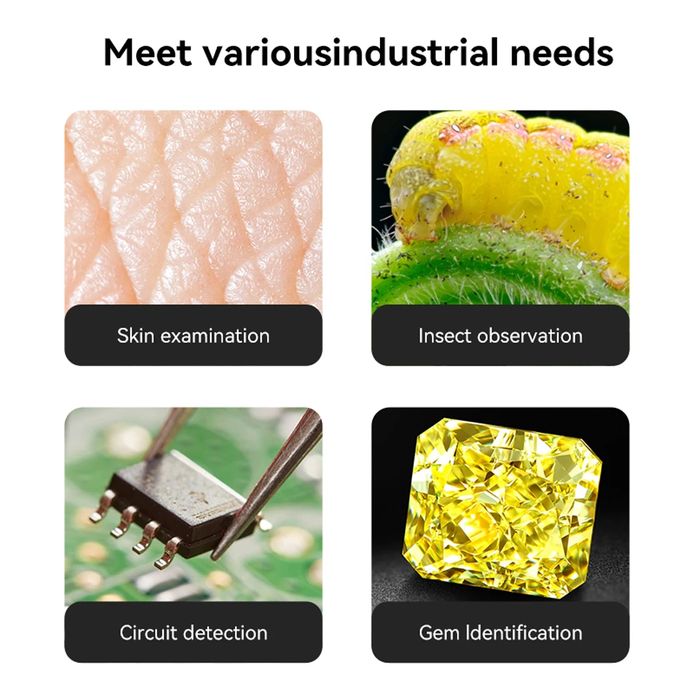 Slide image ee969e4f5e9e4ae1bf238703819daaf5