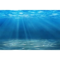 Underwater World Seabed Backdrop Ocean Undersea Sunlight Fish Coral Baby Birthday Aquarium Photography Background Photo Studio 2