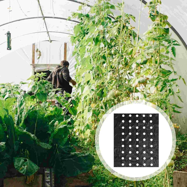 Perforált Talajtakaró Fekete Lap Film Termikus Szigetelő Mezőgazdasági Növényi Növények - Image 2