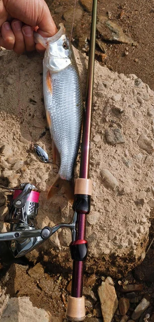 2023 New Fuji Kingfisher Bass Fishing Rod Trout Fishing Rod