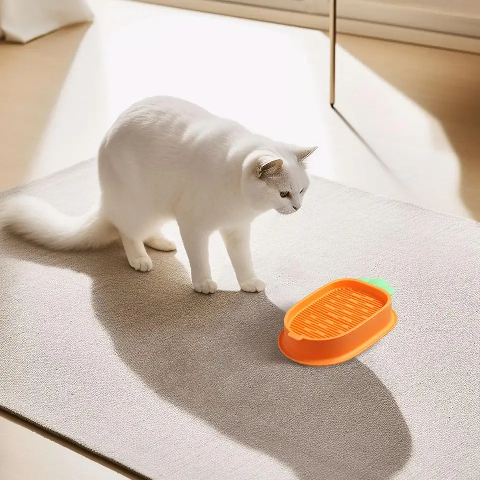 Pot De Germination,Boîte De Plantation Hydroponique Pour Chat,Filles De Plantation à La Menthe