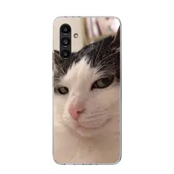 Pet Cat Funny Memes Phone Case - Whimsical Feline Design - Samsung A24 (1)