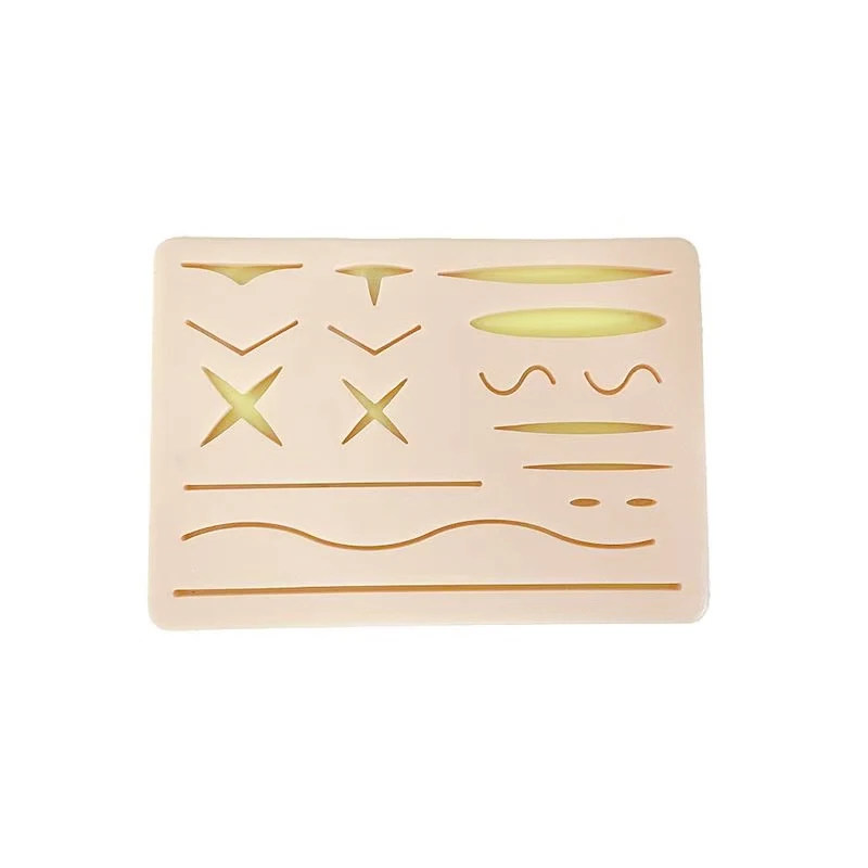 Suture Practice Kit Models Medical Student Training And Education Human Anatomy Nurse School Science And Education Anatomy Model suture practice kit surgical training kit