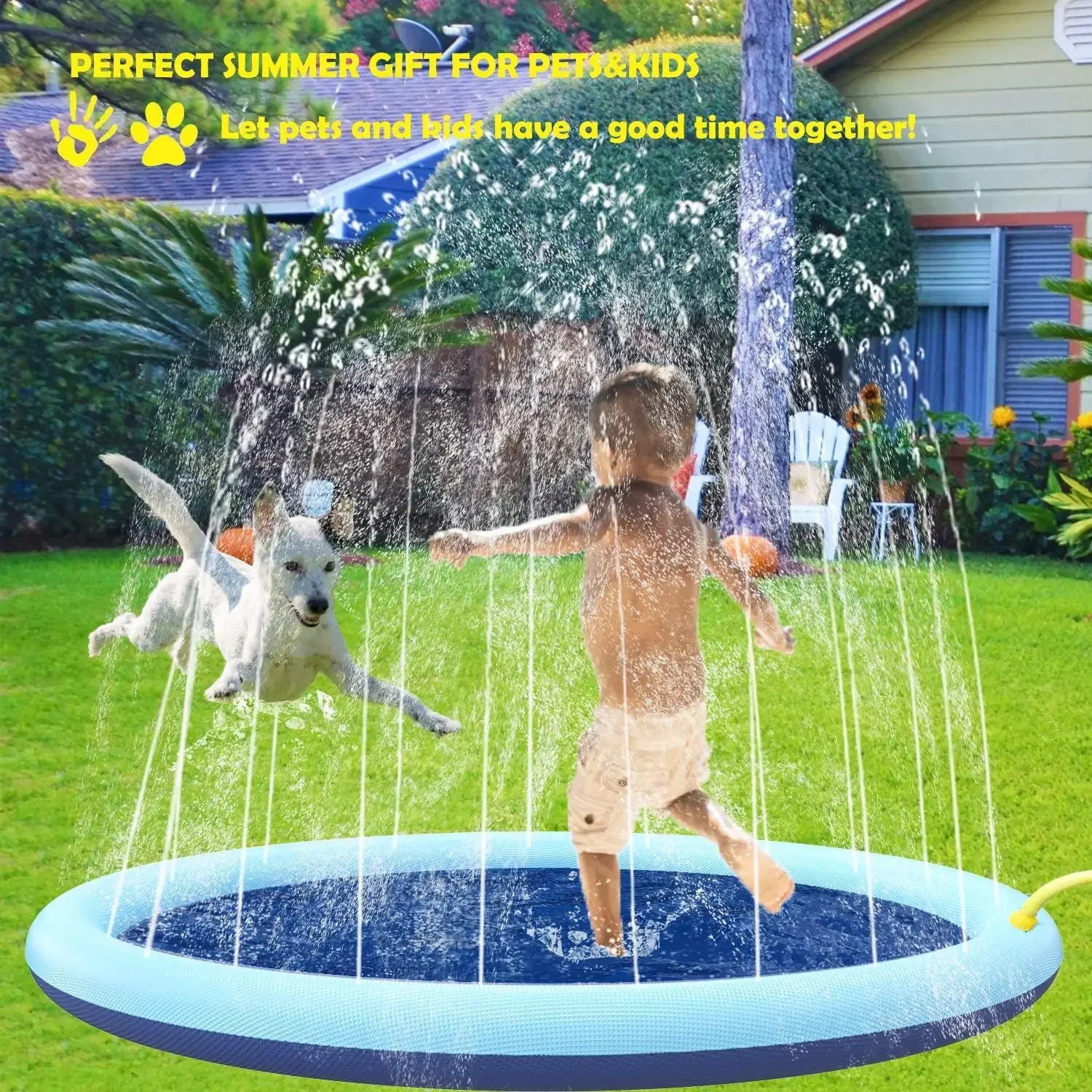 Dog Splash Pad 2