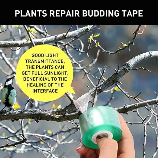 20/30/60/100mm Garden Grafting Tape Plant Repair Tape Grafting Film Plant Parenting Stretchable Transparent Film
