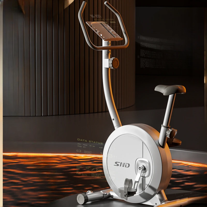 

Magnetic Control Dynamic Bicycle Household Indoor Pedal Fitness Bike Weight Loss Equipment Super Silent Sports Bicycle