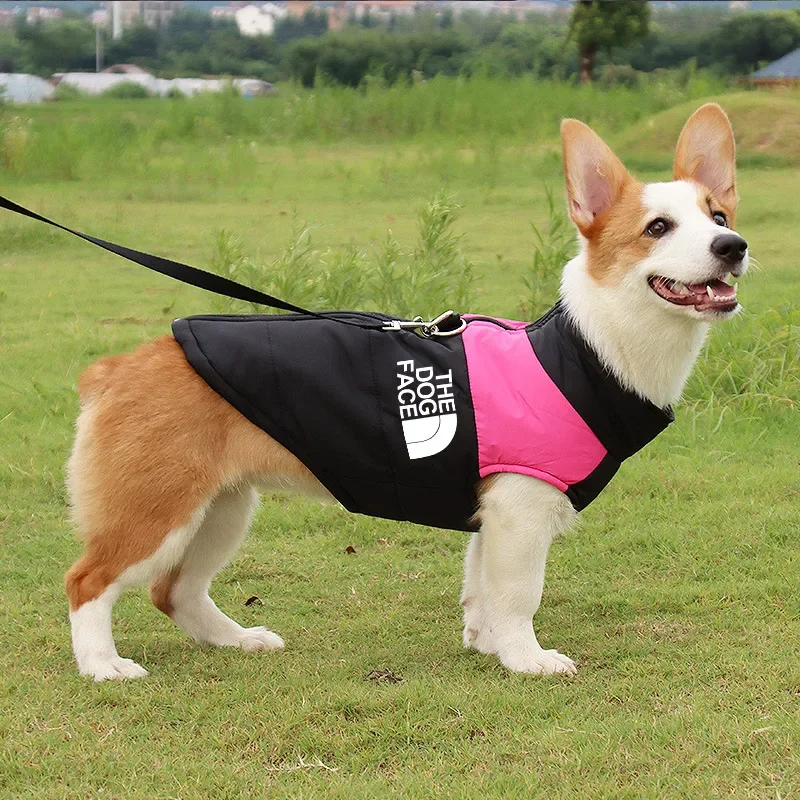 Ropa impermeable para perro, abrigo cálido para mascotas, chaleco acolchado con cremallera, traje facial para perros pequeños, medianos y grandes, Invierno 5