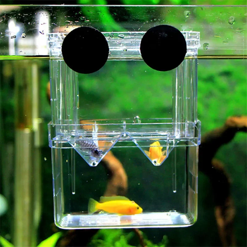 Fish Breeding Box Acrylic Fish Breeder Box Breeding Isolation Box Fish Hatchery Divider Shrimp Clownfish Aggressive Prevent Injured Aquarium