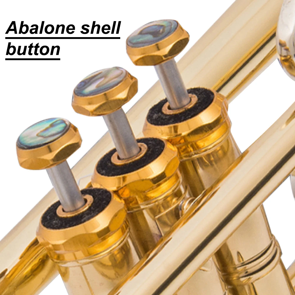 Trumpet Valve Finger Buttons Trumpet Inlays Colorful Abalone Shell