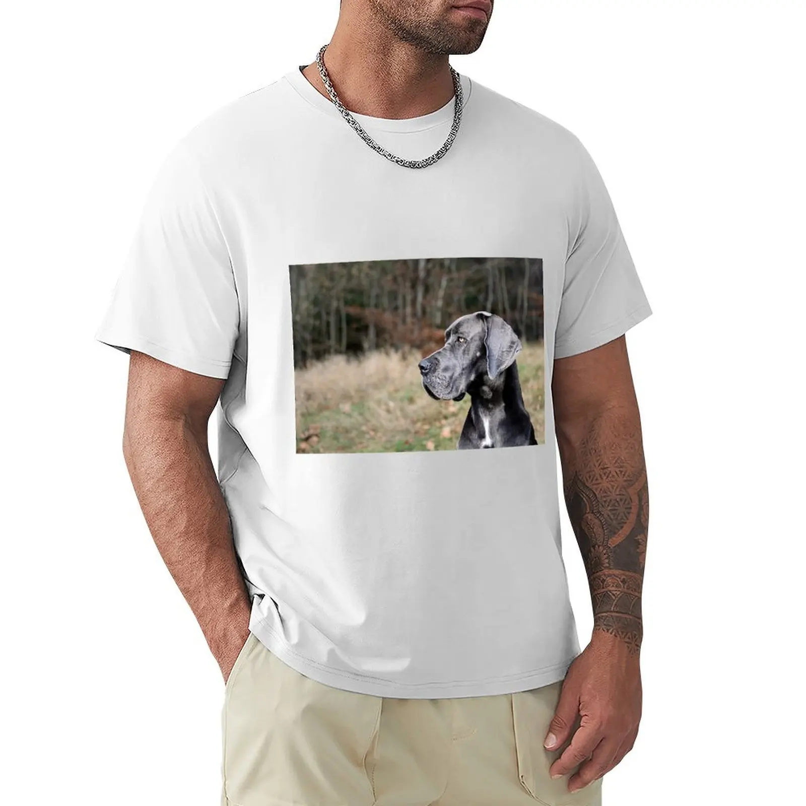 

Black Beauty T-Shirt sports fans Aesthetic clothing quick drying new edition fitted t shirts for men