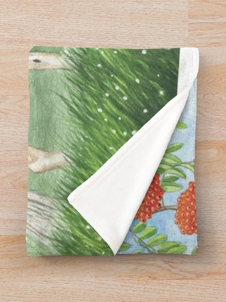 �븣���̾� �� �ǿ丣�� ǳ�� ������ ���, ���� �ٸ��� �̺� ���