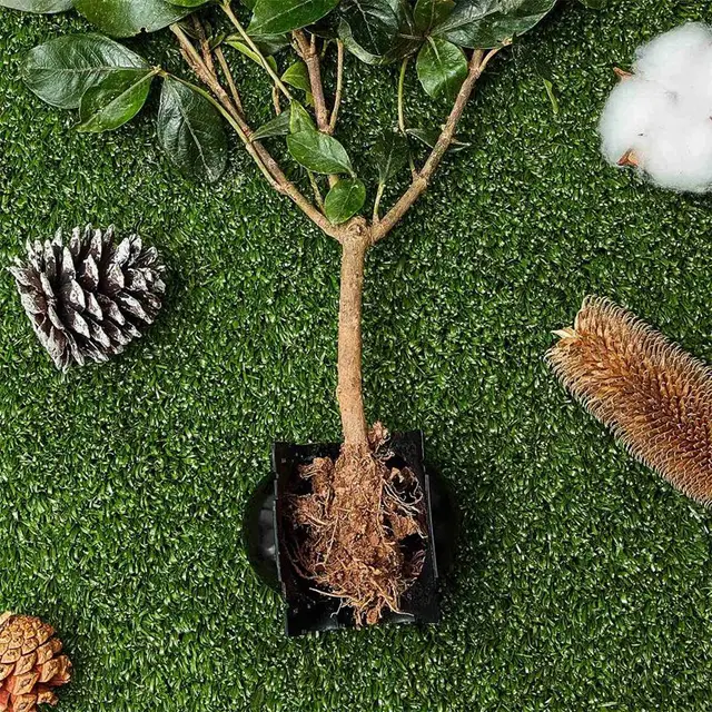 20Db Újrafelhasználható Növény Gyökérzetű Berendezések Készlet-Nagy Nyomású Tenyésztő Golyó Doboz Tenyésztőberendezés - Image 6