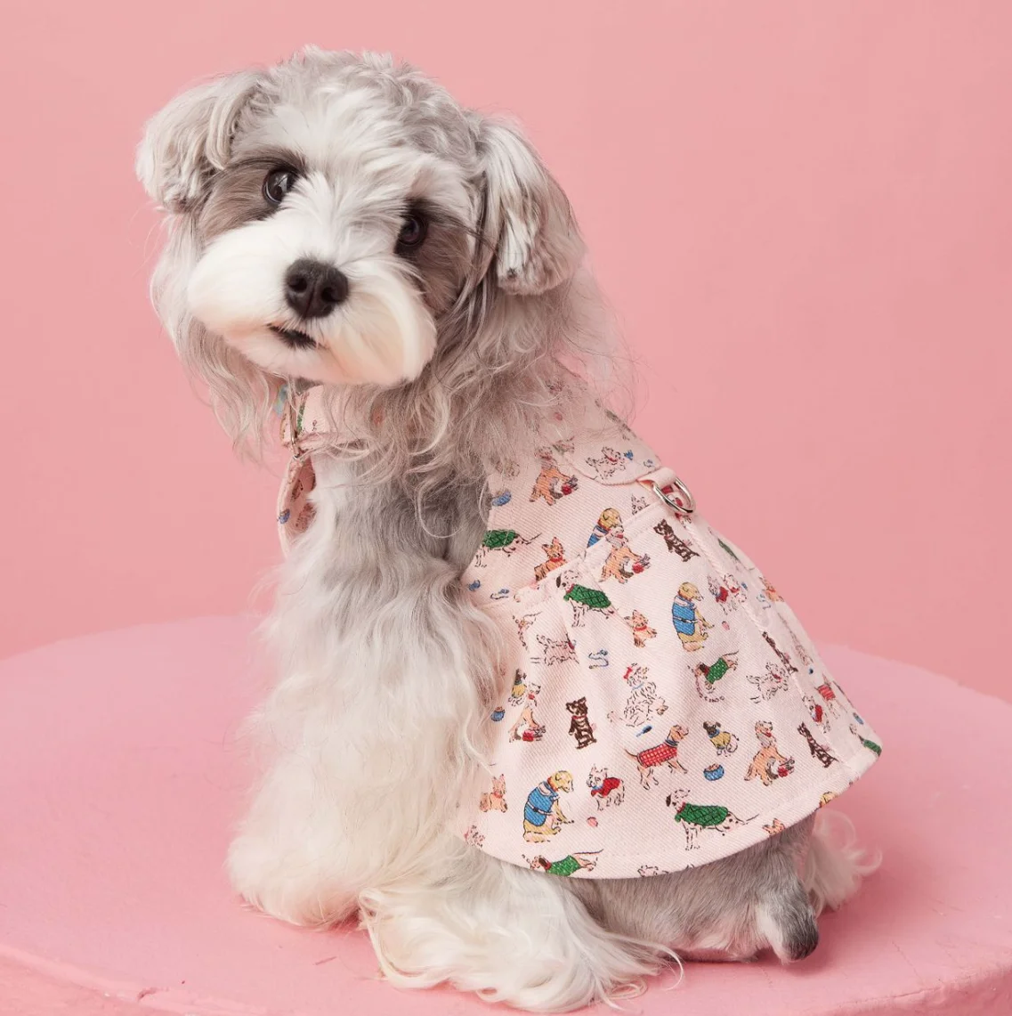 Sleeveless Cowboy Vest for Dogs, Tony Bears Dog Tank Top, Teddy, Schnauzer Bears, Marquis, Love, Spring, Summer, New