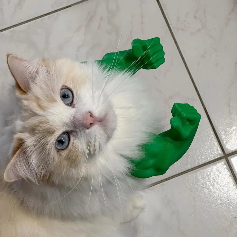 Smarsty Cat Muscle Arm