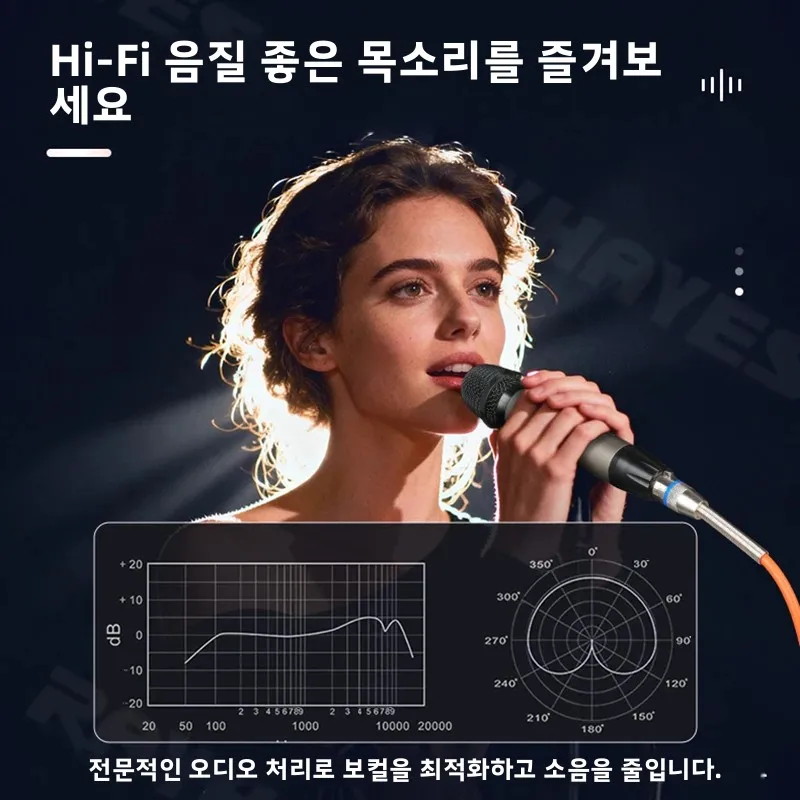 RAYHAYES RD-9 전문 유선 마이크 슈퍼카디오이드 피치 올메탈 7미터 케이블 포함