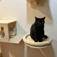 Wall-Mounted Wooden Cat Climbing Tree with Hammock & Scratching Post 6