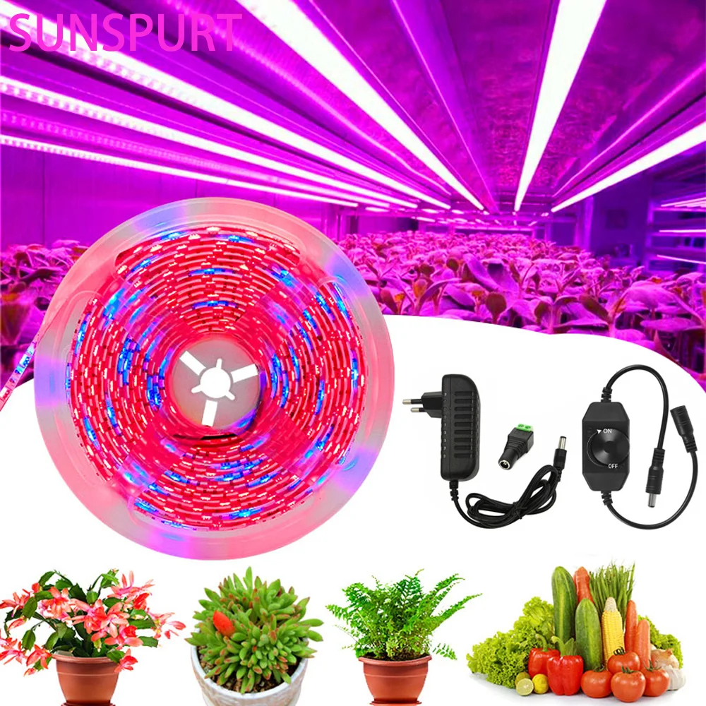 Phyto Led Crescita Delle Piante Luce Spettro Completo Idroponica Led Strip Diode Tape Dimmerabile 2835 Per Piante Da Semina Serre Di Fiori