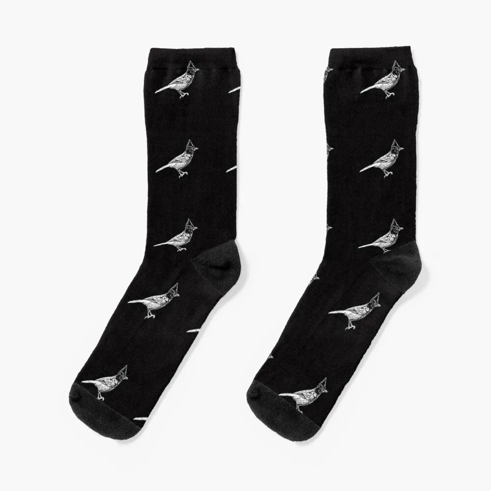 

Steller's Jay White Print Socks golf gift Stockings compression Boy Socks Women's