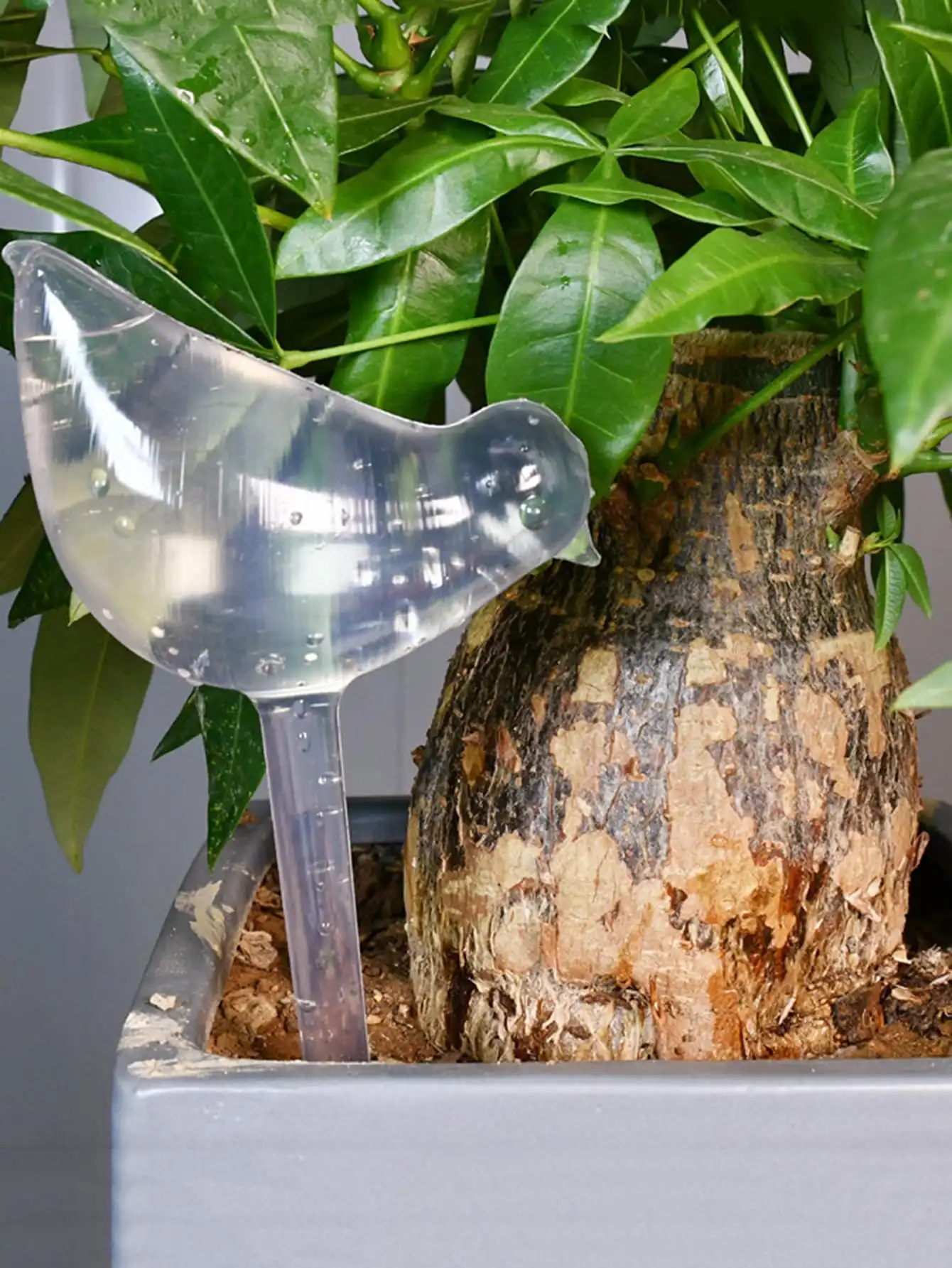 Automatic drip irrigation system bird shaped transparent plastic indoor household garden flowerpot watering device (random)