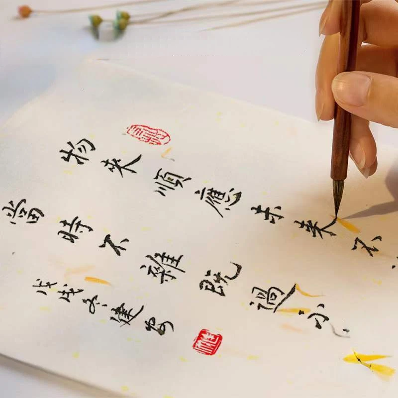 Flower Plants Fiber Yunlong Xuan Paper Small Regular Script Calligraphy Brush Pen Half Ripe Rice Paper Exquisite Letter Papier