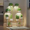Indoor Plant Stand with Grow Light 2 Pack Metal 5 Tier Corner Plant Shelf Sturdy Easy Assembly Multi-functional Display Rack 4